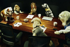 dogs in a boardroom